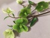 1_floralontable_02-copy