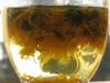 calendula-copy