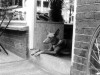 meditations_02