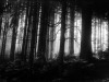 meditations_04
